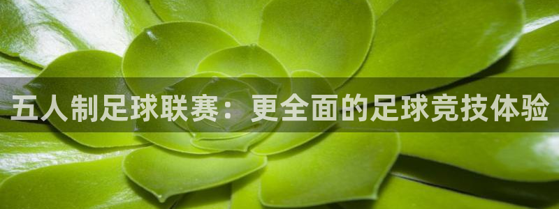  k1俱乐部创始人：五人制足球联赛：更全面的足球竞技体验