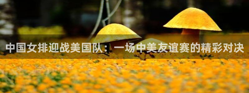 体育k1：中国女排迎战美国队：一场中美友谊赛的精彩对决