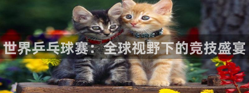  k1体育app下载安装手机版：世界乒乓球赛：全球视野下的竞技