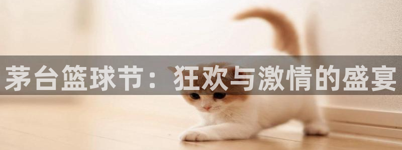  k1体育官网app下载：茅台篮球节：狂欢与激情的盛宴