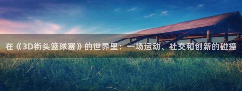 k1体育官方网站首页：在《3D街头篮球赛》的世界里：一场运动