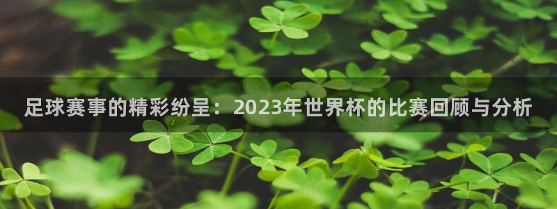  k1俱乐部：足球赛事的精彩纷呈：2023年世界杯的比赛回顾与