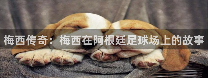  K1体育官网：梅西传奇：梅西在阿根廷足球场上的故事