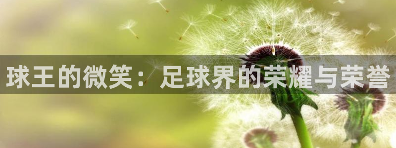  k1体育登录入口官网：球王的微笑：足球界的荣耀与荣誉