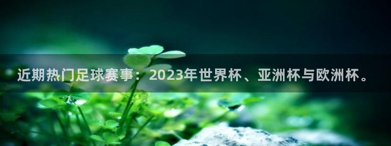  k1体育十年品牌网址是多少：近期热门足球赛事：2023年世界