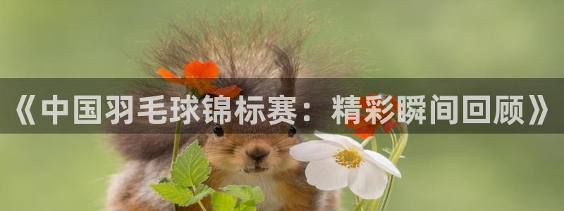  k1体育app下载入口：《中国羽毛球锦标赛：精彩瞬间回顾》